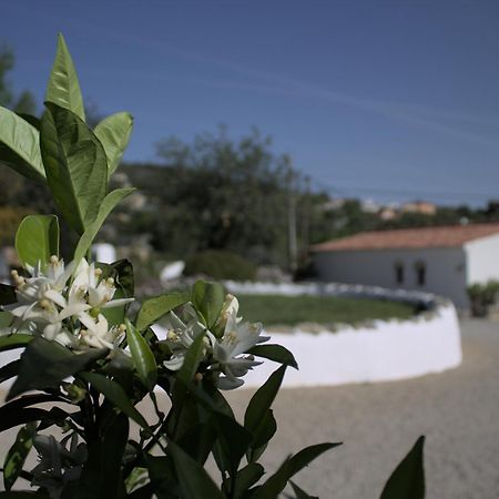 Cosy Farmhouse Quinta Da Eira 140 Years Old Loulé Exterior foto